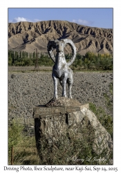 Ibex Sculpture