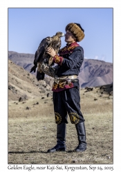Golden Eagle