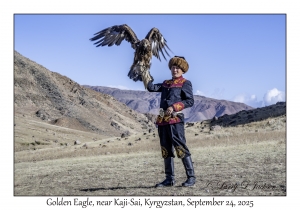 Golden Eagle