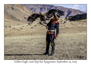 Golden Eagle