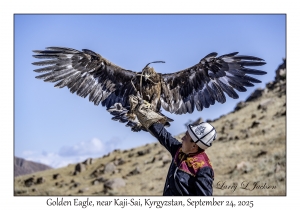 Golden Eagle