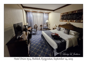 Hotel Orion #514