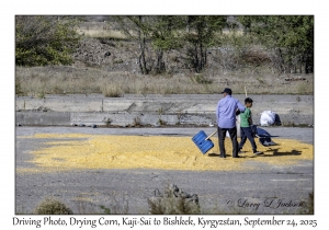 Drying Corn