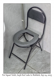 For Squat Toilet
