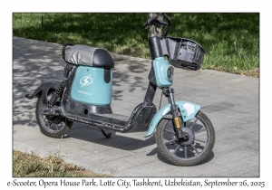 e-Scooter