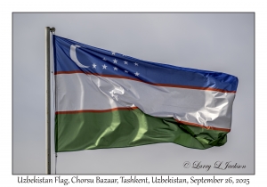 Uzbekistan Flag