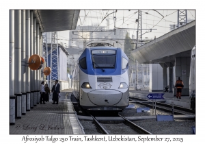 Afrosiyob Talgo 250 Train