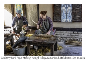 2025-09-28#2321 Mulberry Bark Paper Making, Konigil Village, Samarkand, Uzbekistan