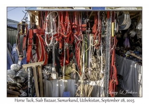 2025-09-28#5434 Horse Tack, Siab Bazaar, Samarkand, Uzbekistan