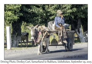 2025-09-29#2444 Driving Photo, Donkey Cart, Samarkand to Bukhara, Uzbekistan
