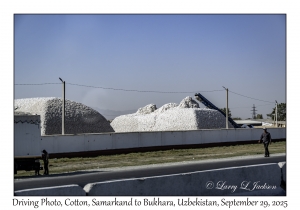 2025-09-29#2461 Driving Photo, Cotton, Samarkand to Bukhara, Uzbekistan