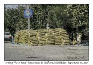 2025-09-29#2499 Driving Photo, Senaj, Samarkand to Bukhara, Uzbekistan