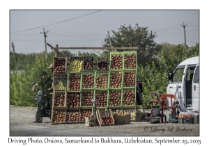 2025-09-29#2502 Driving Photo, Onions, Samarkand to Bukhara, Uzbekistan