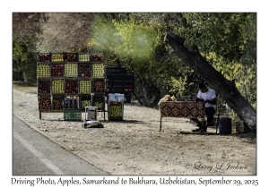 2025-09-29#2503 Driving Photo, Apples, Samarkand to Bukhara, Uzbekistan