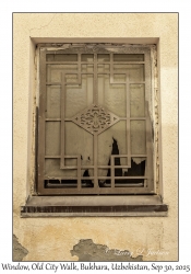 2025-09-30#5699 Window, Old City Walk, Bukhara, Uzbekistan