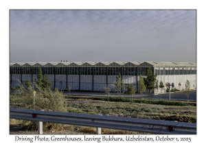 2025-10-01#2782 Driving Photo, Greenhouses, leaving Bukhara, Uzbekistan