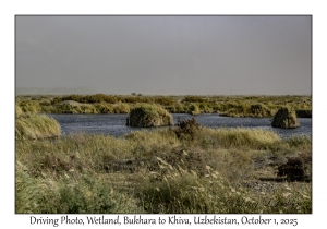 2025-10-01#2801 Driving Photo, Wetland, Bukhara to Khiva, Uzbekistan