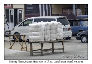 2025-10-01#2987 Driving Photo, Cotton, Hazerasp to Khiva, Uzbekistan