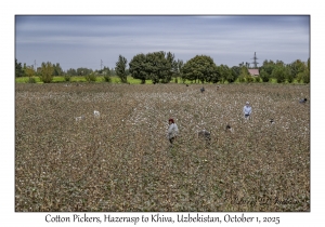 2025-10-01#3000 Cotton Pickers, Hazerasp to Khiva, Uzbekistan