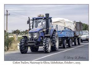 2025-10-01#3030 Cotton Trailers, Hazerasp to Khiva, Uzbekistan