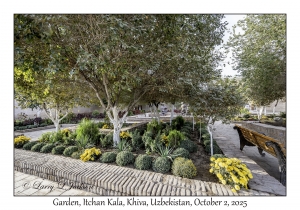 2025-10-02#5744 Garden, Itchan Kala, Khiva, Uzbekistan