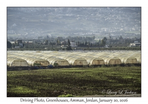 2026-01-20#3440 Driving Photo, Greenhouses, Amman, Jordan