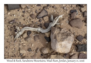 2026-01-21#3674 Wood, Sandstone Mountains, Wadi Rum, Jordan