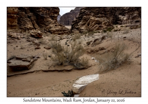 2026-01-22#3799 Sandstone Mountains, Wadi Rum, Jordan