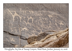 2026-01-22#3841 Petroglyphs, Siq Um al Tawaqi Canyon, Wadi Rum, Jordan