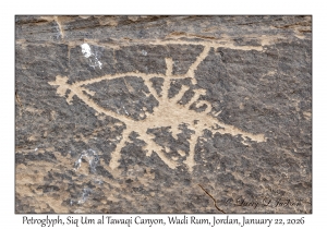 2026-01-22#3843 Petroglyph, Siq Um al Tawaqi Canyon, Wadi Rum, Jordan