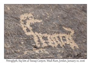 2026-01-22#3844 Petroglyph, Siq Um al Tawaqi Canyon, Wadi Rum, Jordan