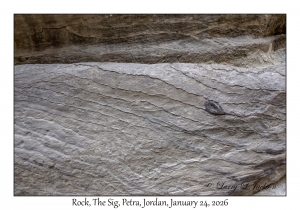 2026-01-24#4156 Rock, The Sig, Petra, Jordan