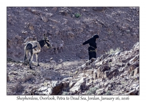 2026-01-26#4541 Shepherdess, Overlook, Petra to Dead Sea, Jordan