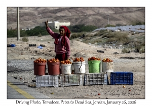 2026-01-26#4641 Driving Photo, Tomatoes, Petra to Dead Sea, Jordan
