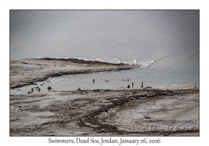 2026-01-26#4695 Swimmers, Dead Sea, Jordan
