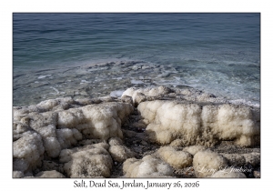 2026-01-26#4716 Shoreline, Dead Sea, Jordan
