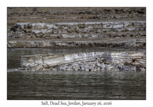 2026-01-26#4730 Salt, Dead Sea, Jordan
