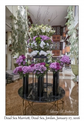 2026-01-27#2639 Dead Sea Marriott, Dead Sea, Jordan