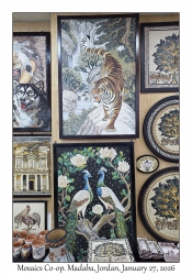 2026-01-27#5735 Mosaics Co-op, Madaba, Jordan