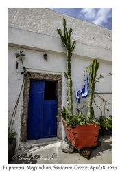 2026-04-18#6183 Cactus, Megalochori, Santorini, Greece