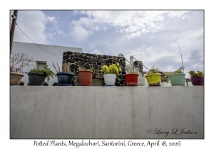 2026-04-18#6193 Potted Plants, Megalochori, Santorini, Greece