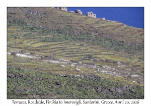 Terraces