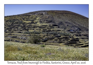 Terraces