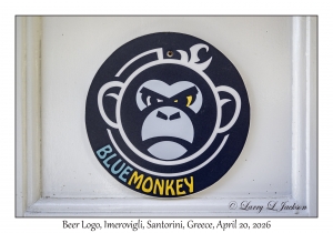 Blue Monkey