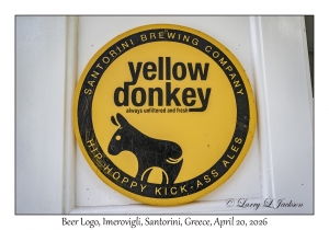 Yellow Donkey