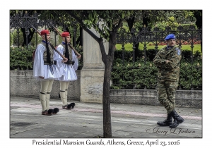 Presidential Mansion Guards