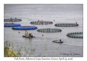 Fish Farm