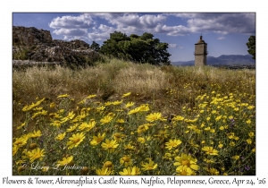 2026-04-24#6226 Flowers & Tower, Akronafplia's Castle Ruins, Nafplio, Peloponnese, Greece