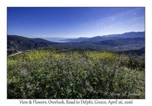 Flowers & Corinthian Gulf