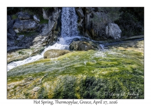 2026-04-27#6438 Hot Spring, Thermopylae, Greece